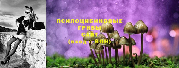 мдпв Пролетарск