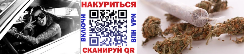 продажа наркотиков  Кириши  Каннабис индика 